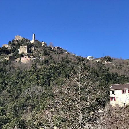 Camping L'Agrottu Au Coeur De La Corse Santa-Lucia-di-Mercurio Exterior foto