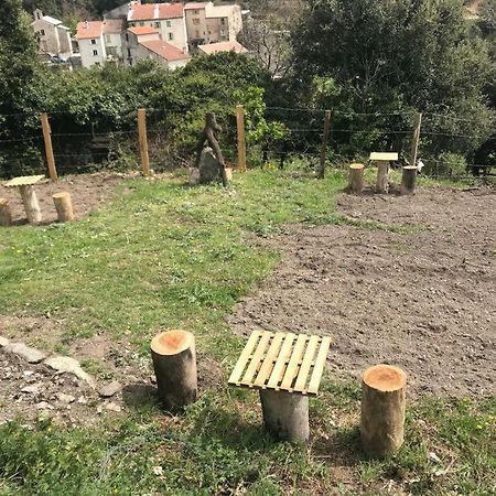 Camping L'Agrottu Au Coeur De La Corse Santa-Lucia-di-Mercurio Exterior foto