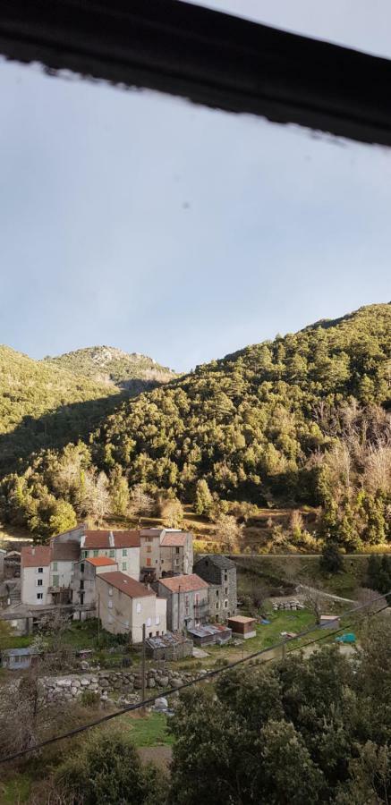 Camping L'Agrottu Au Coeur De La Corse Santa-Lucia-di-Mercurio Exterior foto
