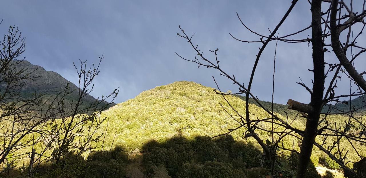 Camping L'Agrottu Au Coeur De La Corse Santa-Lucia-di-Mercurio Exterior foto