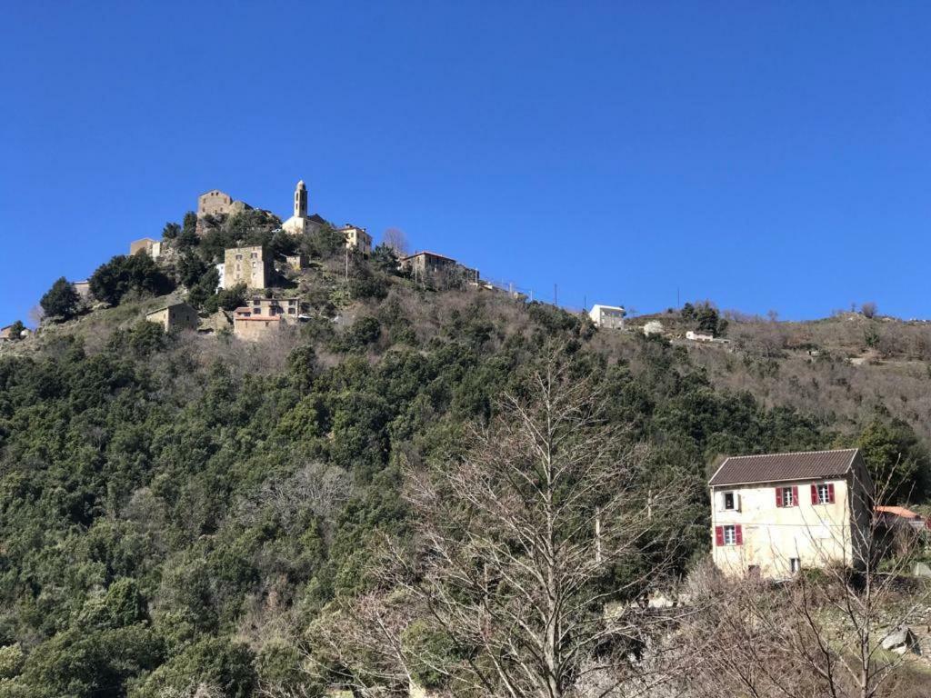Camping L'Agrottu Au Coeur De La Corse Santa-Lucia-di-Mercurio Exterior foto
