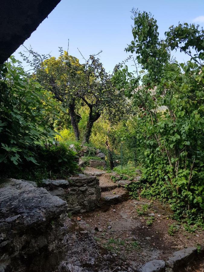 Camping L'Agrottu Au Coeur De La Corse Santa-Lucia-di-Mercurio Exterior foto