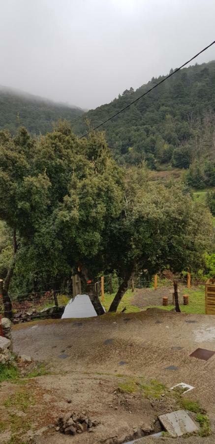 Camping L'Agrottu Au Coeur De La Corse Santa-Lucia-di-Mercurio Exterior foto