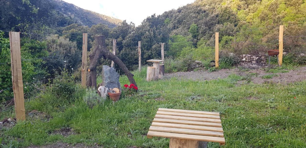 Camping L'Agrottu Au Coeur De La Corse Santa-Lucia-di-Mercurio Exterior foto