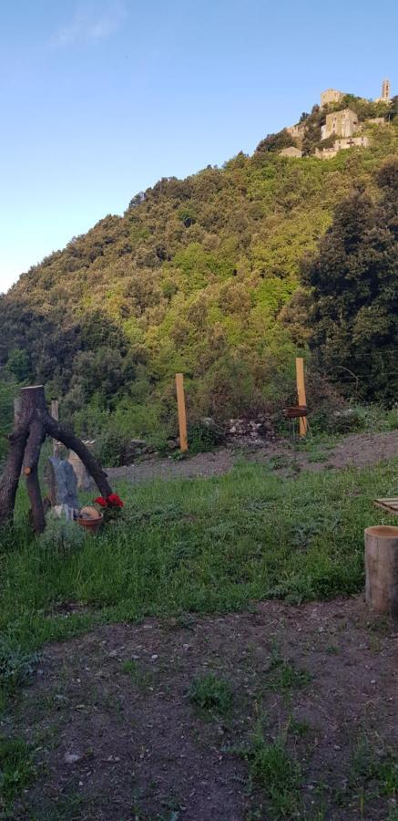 Camping L'Agrottu Au Coeur De La Corse Santa-Lucia-di-Mercurio Exterior foto